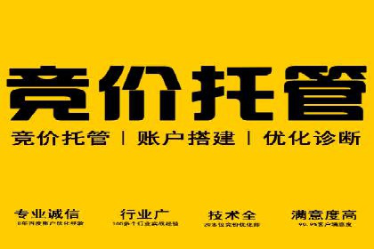 深度解析：竞价托管SEM的五大成功案例